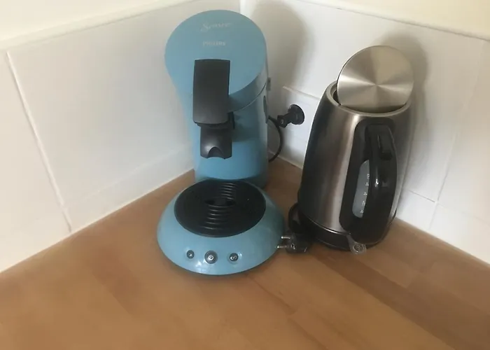 Garden Or Economy Amsterdam